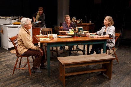 THE GABRIELS: Election Year in the Life of One Family
Play Three: WOMEN OF A CERTAIN AGE
Written and Directed by Richard Nelson

Featuring Meg Gibson, Lynn Hawley, Roberta Maxwell, Maryann Plunkett, Jay O. Sanders, Amy Warren

Scenic Designers Susan Hilfe