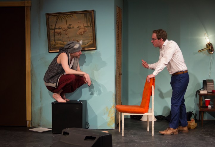 Koalas2_ZoeLintzeris