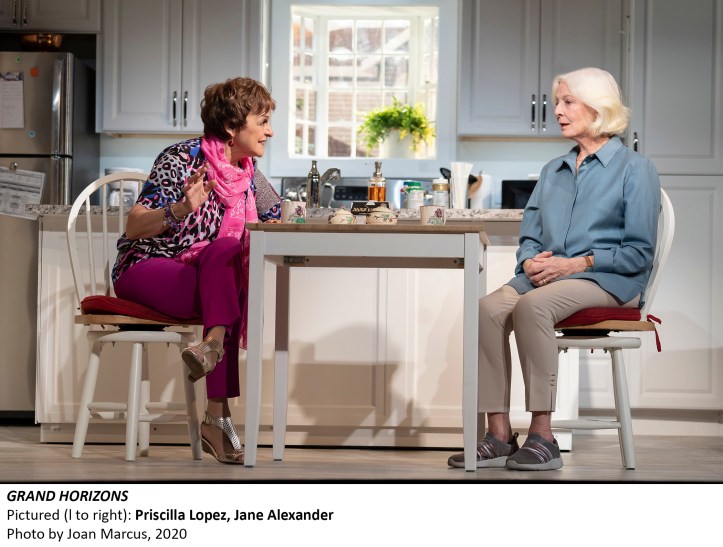 GRAND HORIZONS
BY
BESS WOHL
DIRECTED BY
LEIGH SILVERMAN