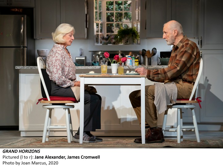 GRAND HORIZONS
BY
BESS WOHL
DIRECTED BY
LEIGH SILVERMAN