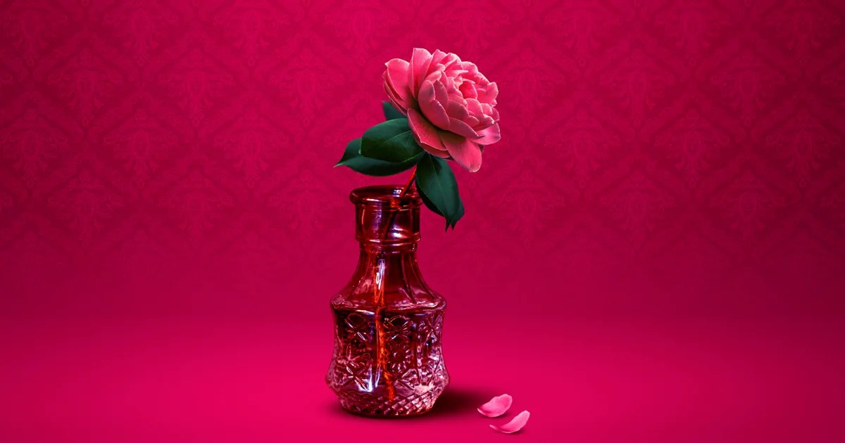 “La Traviata” Has Me Having a Very “Pretty Woman” Moment at the Canadian Opera Company – front mezz junkies, Theater News “La Traviata” Has Me Having a Very “Pretty Woman” Moment at the Canadian Opera Company – front mezz junkies, Theater News